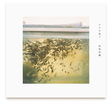 画像をギャラリービューアに読み込む, ビルに泳ぐ