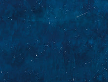 画像をギャラリービューアに読み込む, ヨーグルトテリア 『ほしをいつもみている』