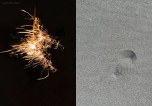 画像をギャラリービューアに読み込む, 『tattva』 Vol.2 Jul. 2021